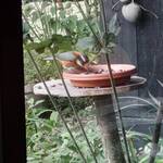 くつきそば 永昌庵 - 