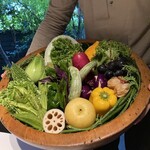 レフェルヴェソンス - 