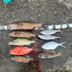 あけぼの食堂 - 