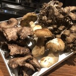 イル アオヤマ - 