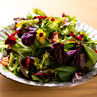 契約農園ベビーリーフのサラダ