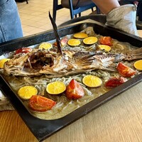 anchoa - 