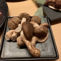 すき焼 しゃぶしゃぶつかだ KITTE大阪店 - 