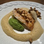 リョウリヤ ステファン パンテル - 