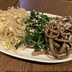 やすらぎ - ナムル盛り合わせ（オマケしてくれました♪）