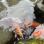 昇仙峡 渓流 流しそうめん・ほうとう 円右衛門 - 