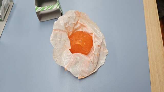 Aoyagi Uirou Esuka Choku Eitten photo 2