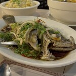 Harbor View Restaurant - 