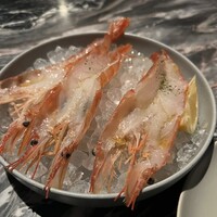 THE RIGOLETTO -  THE RIGOLETTO -