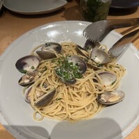 THE RIGOLETTO -  THE RIGOLETTO -