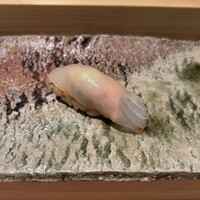 匠 進吾 - カワハギ