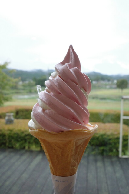 道の駅 はなわ 天領の郷 - 磐城塙（道の駅）の写真