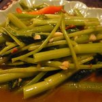 プロォーイ タイ料理 - パッドパックブンファイデンです。空芯菜の炒め物です。辛い！でもやめられないがキャッチです。
