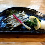 魚将　さかなちゃん - 