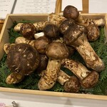 蕎麦割烹  倉田 - 信州上田産　松茸