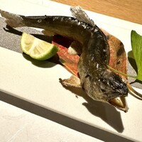鮨・串揚げ 春夏秋冬 - 