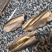 寿司 髙はし - 