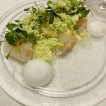 プリンチピオ - 