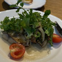 RACINES - 