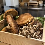 紀尾井町 南かわ - 