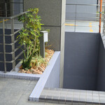 バー シスル - こちらの階段を降りた地下1階にお店があります