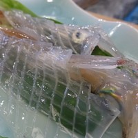 河太郎 中洲本店 - いか活造り