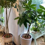 モスバーガー - 