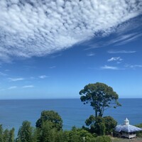 CODA ROSSA -  CODA ROSSA -