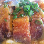 アルバトロス - カツのアップ