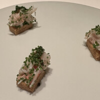 カンテサンス - 