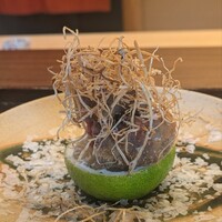 鎌倉 北じま - ヒレカツ。カツはもっちりと柔らかく反発する弾力と、静かな旨味。牛蒡の香ばしさや土っぽさが深みを、かぼすの柔らかな酸が軽やかさを加える。土台のかぼすの側面から自然に伝わる酸によって、最後はさっぱり。