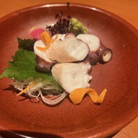 寅八商店 心斎橋店 -  寅八商店 心斎橋店 -