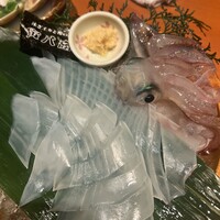寅八商店 心斎橋店 -  寅八商店 心斎橋店 -