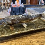 柳家 - 郡上の天然鮎