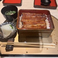うなぎ 目白ぞろ芽 - 