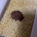 夢の里やながわ 本店 - 