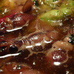 baru Publo - 【H26.4.23】そら豆とホタルイカのアヒージョ６００円。