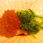 鮨処 凜 - 大将おまかせ　１５０００円（税込）　一品料理-１　富山県産白海老と酒盗かけ【２０２４年９月】