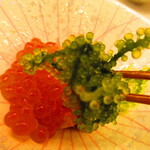 鮨処 凜 - 大将おまかせ　１５０００円（税込）　一品料理-１　富山県産白海老と酒盗かけ【２０２４年９月】