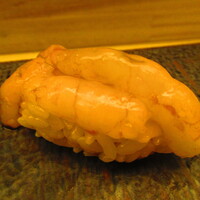 鮨処 凜 - 大将おまかせ　１５０００円（税込）　握り-５　増毛産の南蛮海老、昆布だし熟成で【２０２４年９月】
