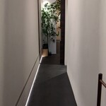 イル アオヤマ - 