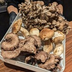 イル アオヤマ - 