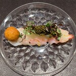 イル アオヤマ - 