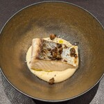 イル アオヤマ - 