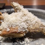 イル アオヤマ - 