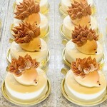 オクシタニアル 東京本店 - エリソン