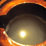 蕎麦 和食 日本酒処 なごみ - 蕎麦湯は蕎麦粉を軽く溶いたって感じです