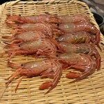 恵比寿 鮨 ふじまさ - 