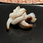 恵比寿 鮨 ふじまさ - 