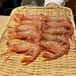 恵比寿 鮨 ふじまさ - 